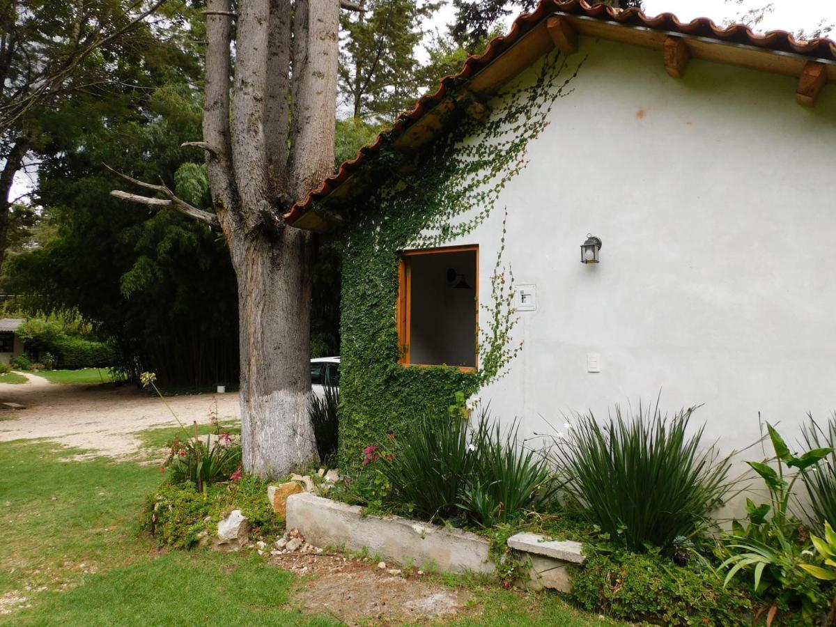 San Nicolas By Rotamundos San Cristóbal de Las Casas Exterior foto