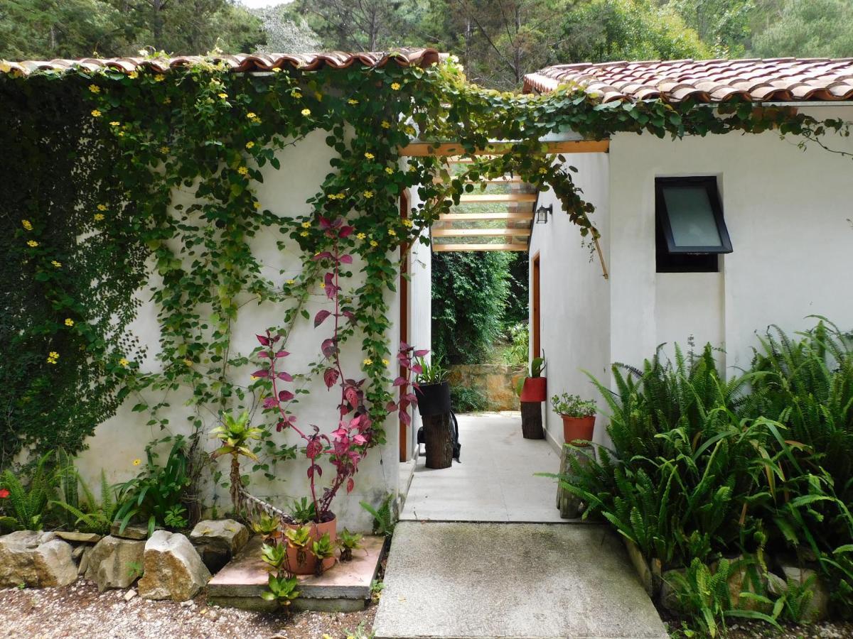 San Nicolas By Rotamundos San Cristóbal de Las Casas Exterior foto